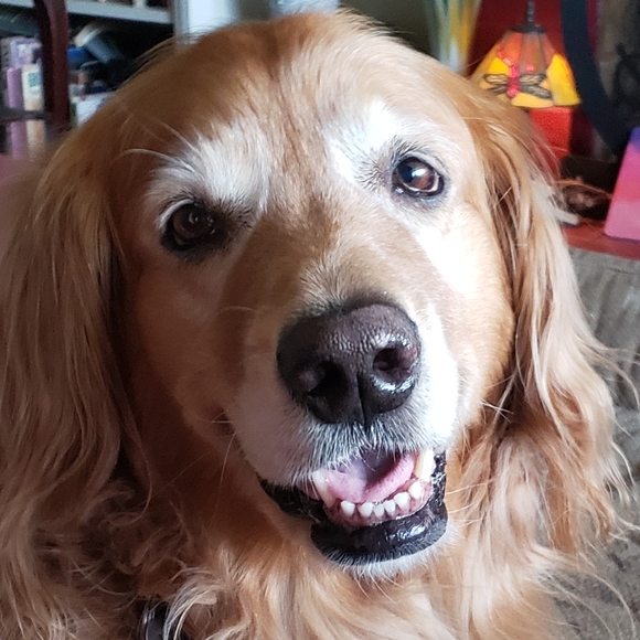 Meet your Posher, Kelly_Raye_Marie - Picture 3 of 9